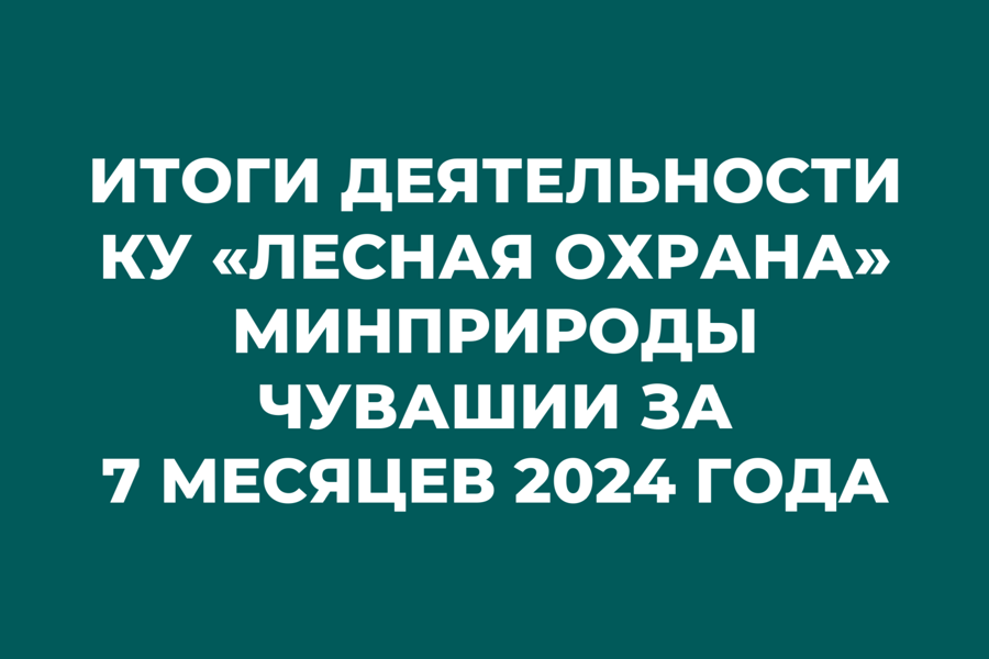 С начала 2024 года сотрудниками КУ Лесная охрана» Минприроды Чувашии выявлено 26 фактов нарушений требований лесного законодательства