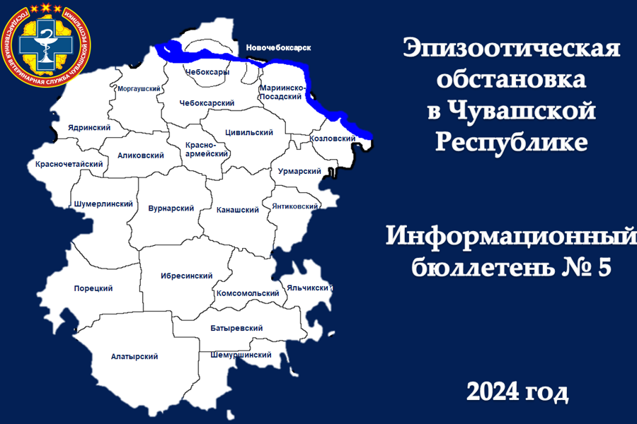 Информационный бюллетень № 5