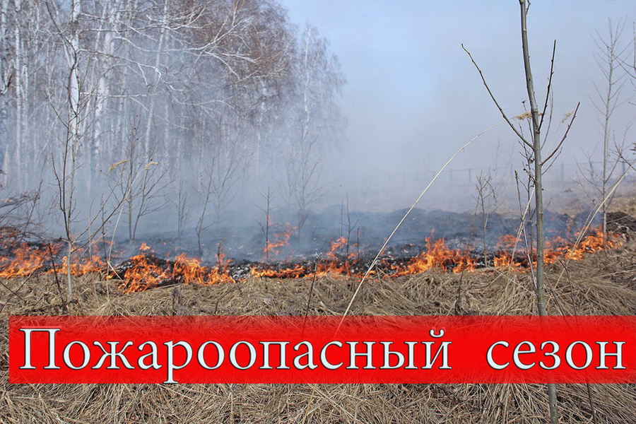 Пожароопасный сезон на территории республики начался с 01 апреля 2024 года