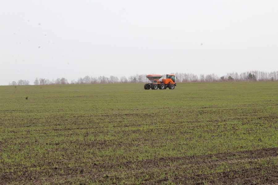В ООО «Каспий – Агро» первыми в округе приступили к внесению минеральных удобрений на посевы озимой пшеницы
