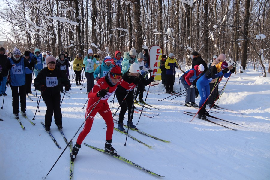 Новочебоксарцы вышли на  старт традиционной 42-ой по счету Открытой Всероссийской массовой лыжной гонки «Лыжня России-2024»