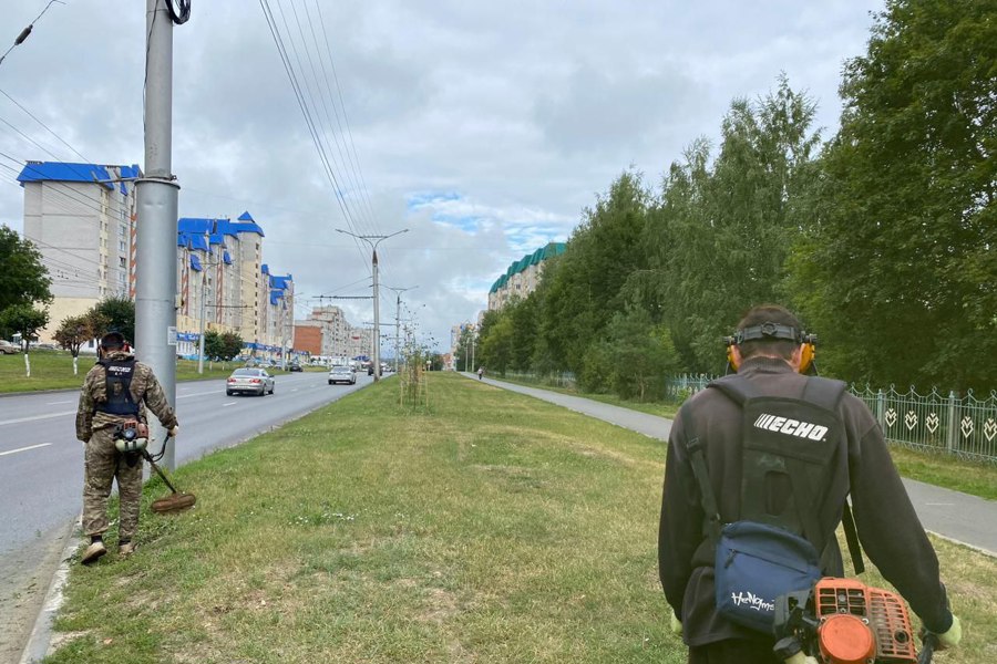 В первый день августа в Чебоксарах продолжился покос территории города