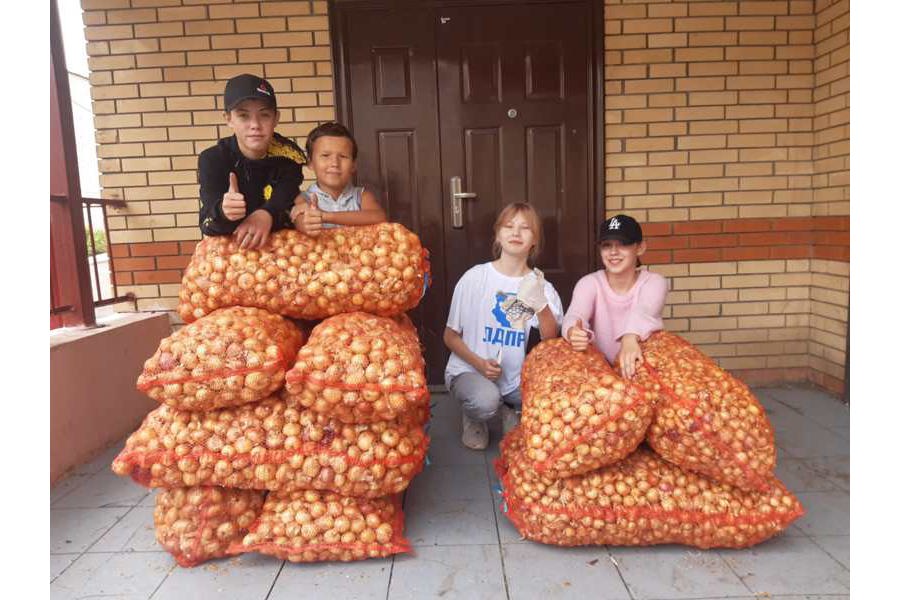 Хорошо, когда делаешь дело в нужный момент