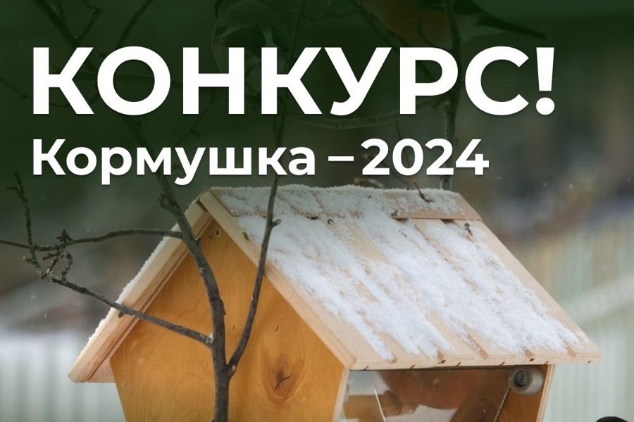 Всероссийская акция «Кормушка-2024»: позаботимся о птицах в зимнюю стужу