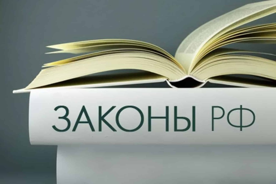 Поддержаны поправки об уголовной ответственности лиц, участвующих в СВО