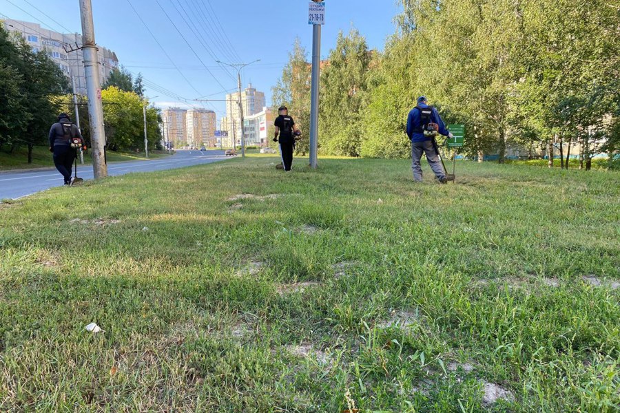 В Чебоксарах продолжается покос городских территорий