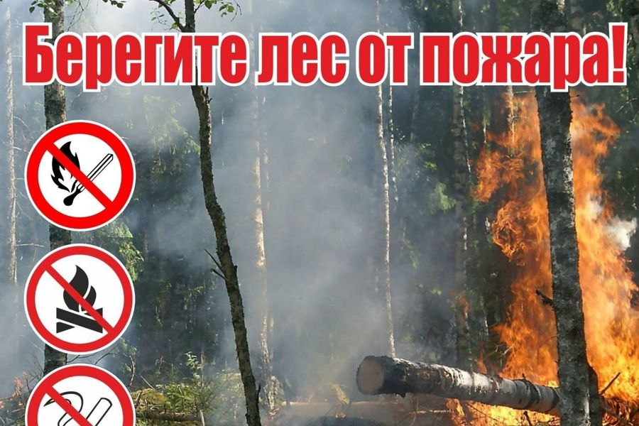 С 11 по 17 июля по Чувашской Республике прогнозируется чрезвычайная пожарная опасность