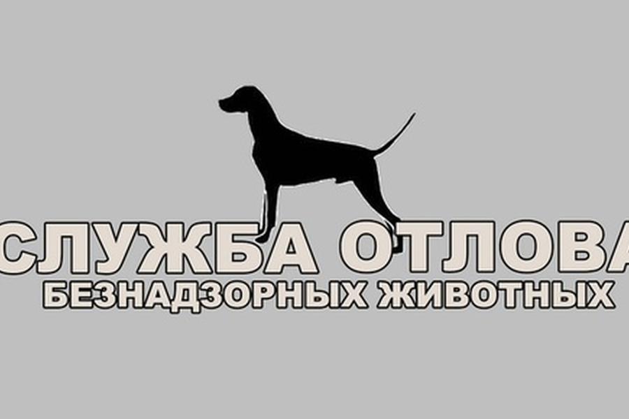 Приглашение на работу. Вакансия отловщик собак