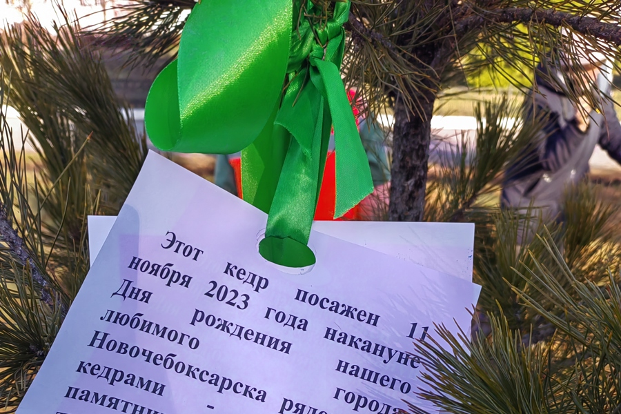 Новочебоксарску в честь дня рождения общественная инициатива в подарок
