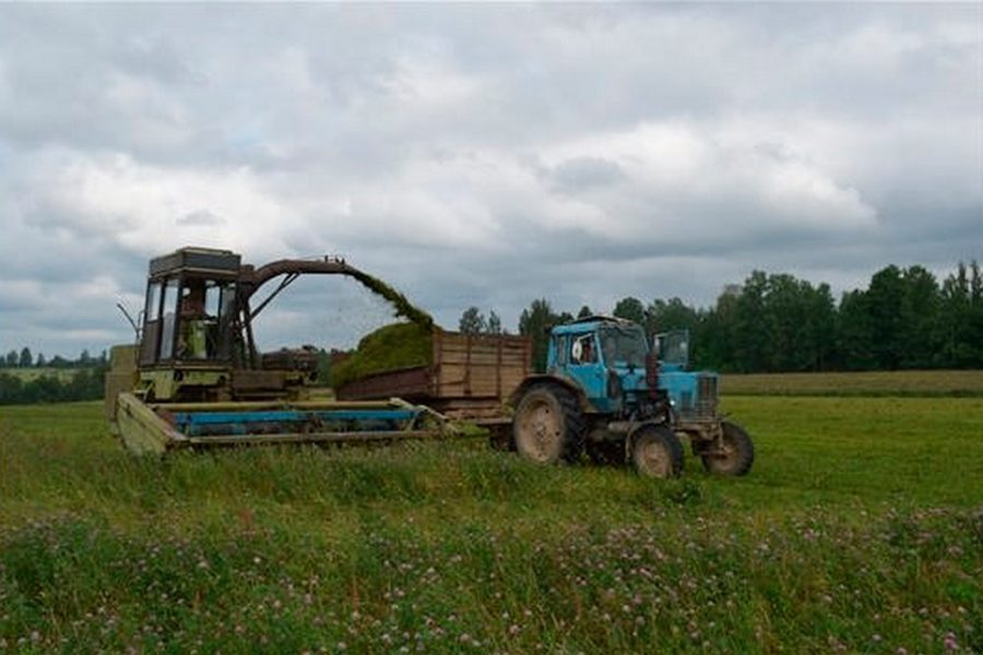 В Моргаушском округе заготовка кормов  продолжается