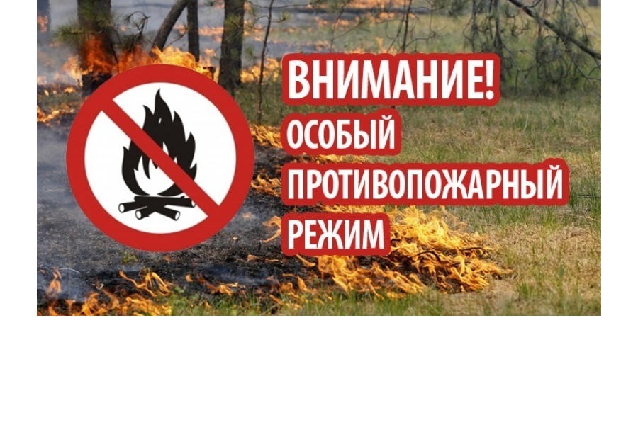 С 10 апреля на территории Чувашской Республики установлен особый противопожарный режим