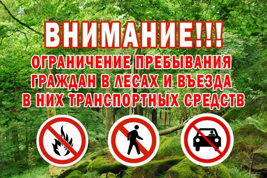 ГКЧС Чувашии напоминает о введении запрета на посещение гражданами лесов республики