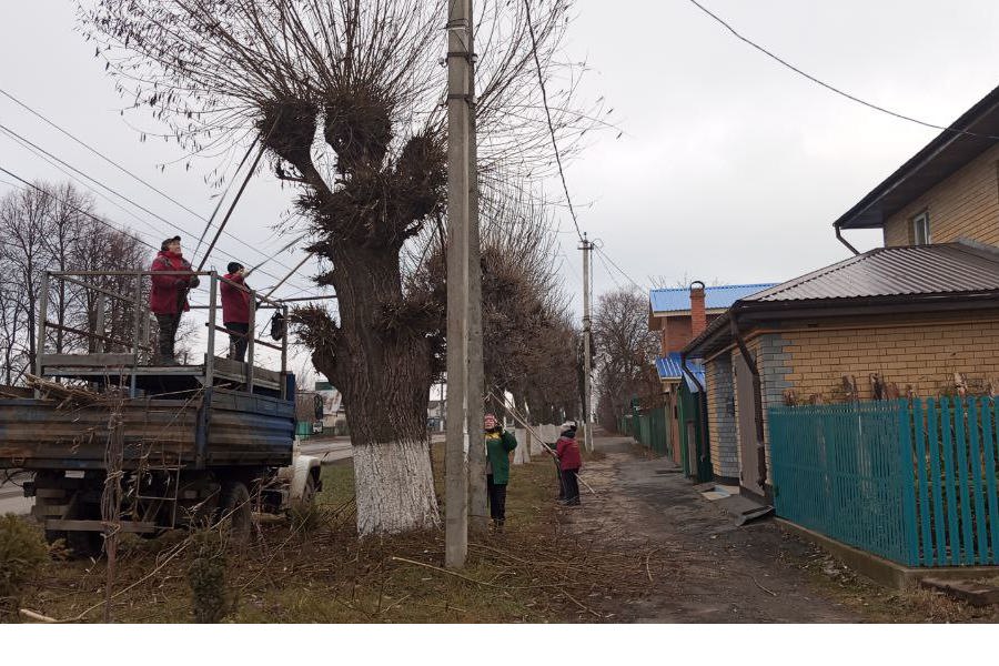 В Чебоксарах продолжились работы по стрижке деревьев