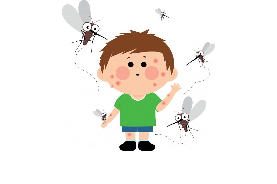 Средство от комаров. Советы и рекомендации по выбору