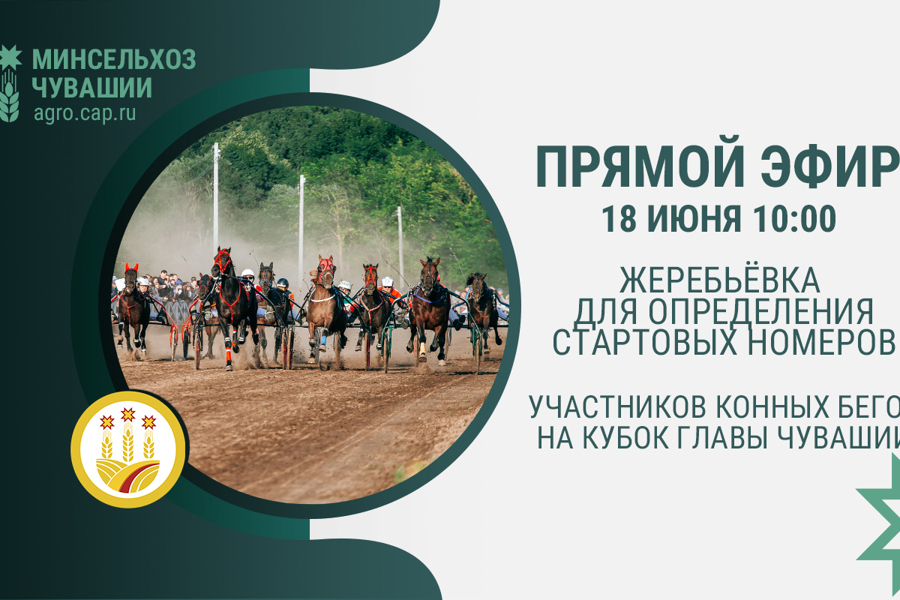 Жеребьёвка для наездников Кубка Главы Чувашии по конному спорту пройдёт в прямом эфире