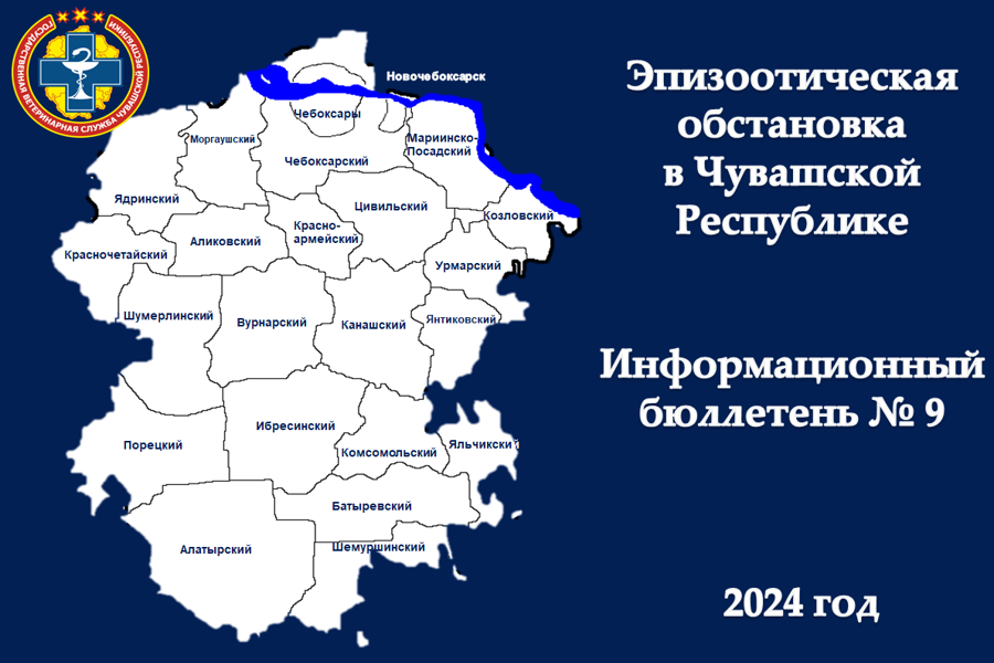 Информационный бюллетень № 9