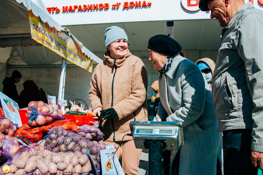 На ярмарке «Весна-2024» в Чувашии реализуют больше 100 тонн семенного картофеля