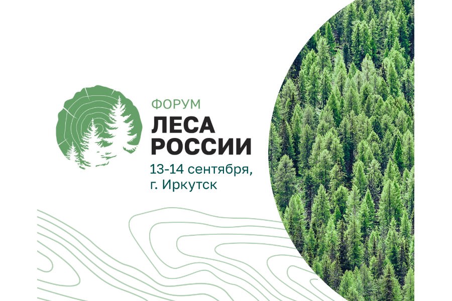 Федеральный форум «Леса России» - ключевое мероприятие для специалистов лесной отрасли