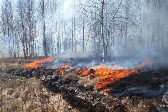 Палы травы – не просто неразумная традиция, но и настоящее стихийное бедствие, которое может лишить не только крова, но и жизни.