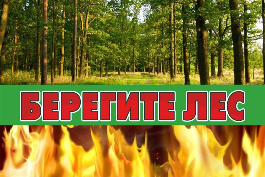 Лесопожарная обстановка на территории Янтиковского муниципального округа