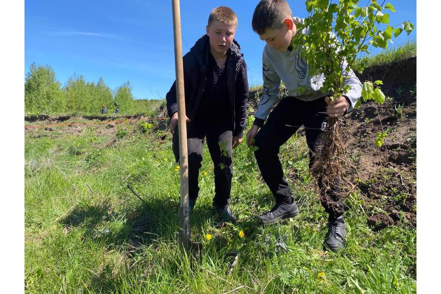 Год экологической культуры и бережного природопользования: обучающиеся Большеяльчикской школы им. Г.Н.Волкова посадили саженцы деревьев