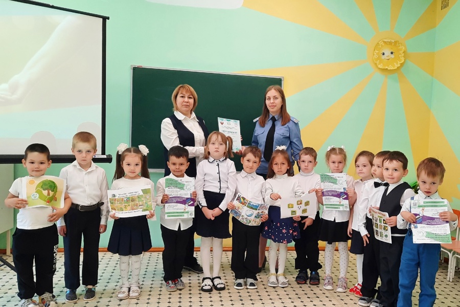 В образовательных учреждениях города Чебоксары проходят Всероссийские уроки «Эколята – молодые защитники природы»