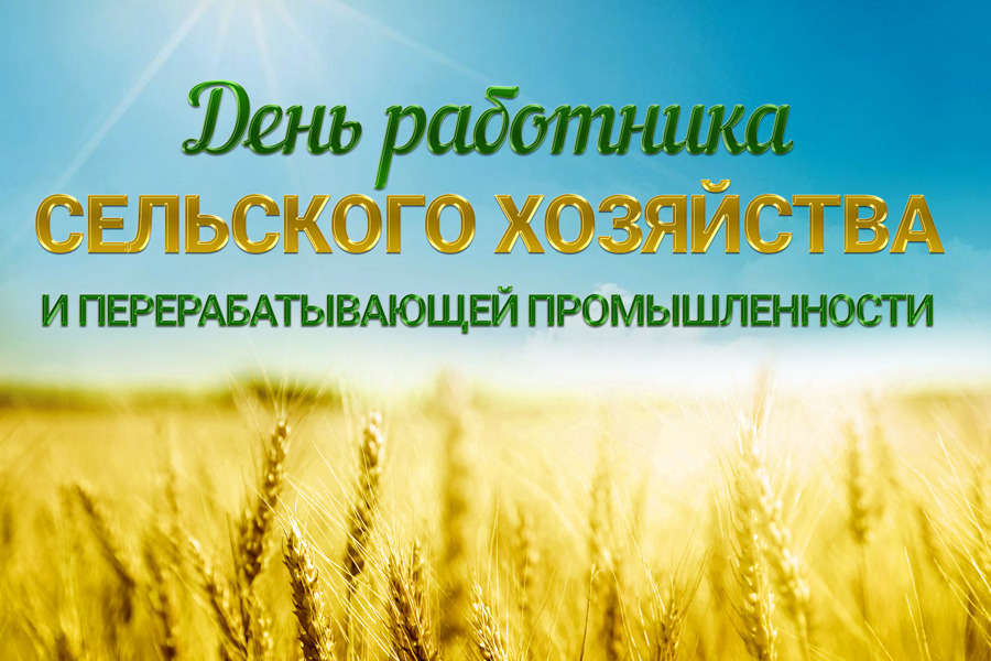 Официальный сайт Администрации Емельяновского района Красноярского края, п.г.т. Емельяново