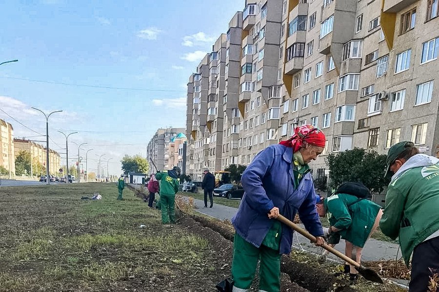 Клены, ели и спиреи: на ул. Гражданская в Чебоксарах стартовал сезон озеленения