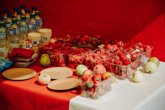 Ягодный бум/день/фест – выбираем, как назвать фестиваль ягод в Чувашии