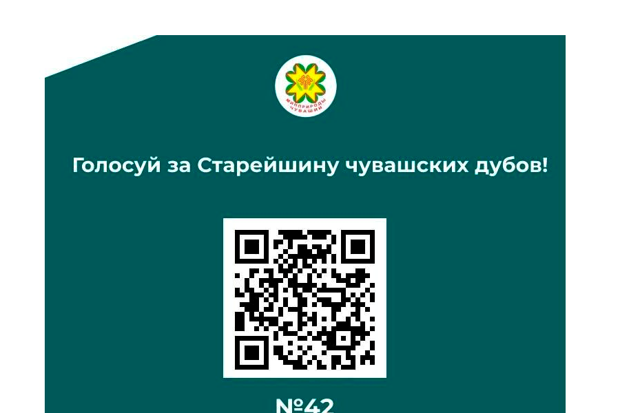 Старейшина чувашских дубов уже набрал более 9000 голосов