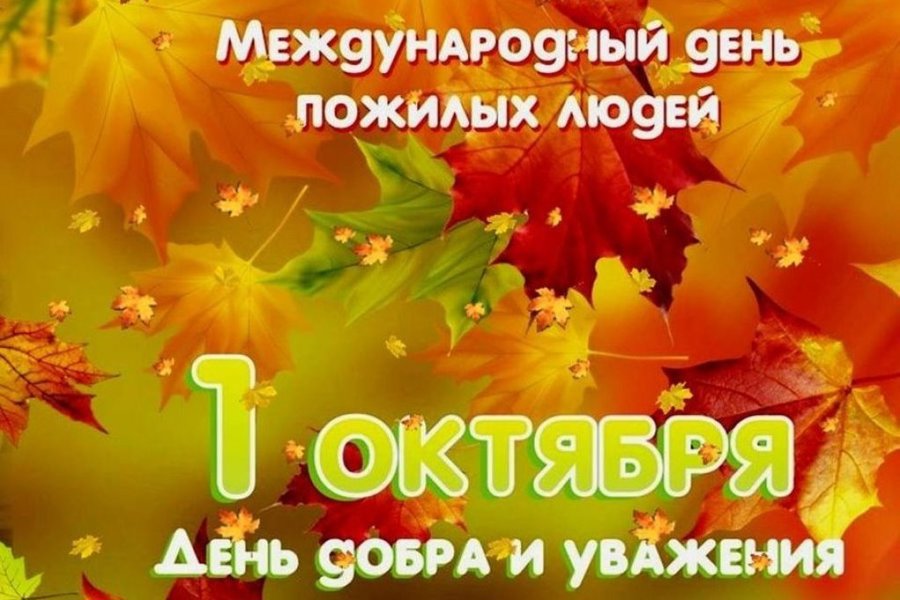 Поздравление Новочебоксарского городского Собрания депутатов ЧР с Международным днём пожилых людей!