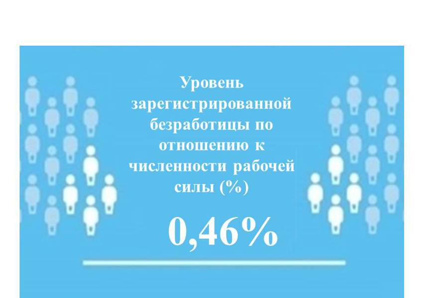 Уровень регистрируемой безработицы в Чувашской Республике составил 0,46%