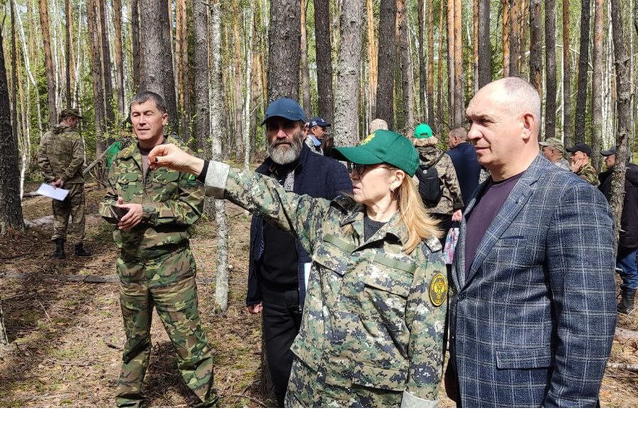 Тренировка по проведению лесопатологических обследований в Кирском лесничестве (26.04.2024)