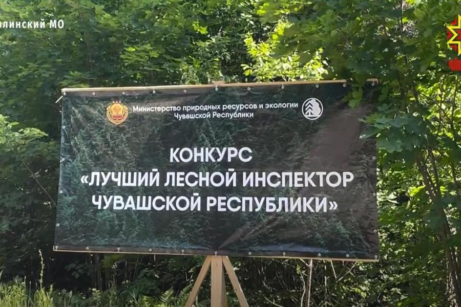 В республике прошёл конкурс на лучшего лесного инспектора // НТРК Чувашии. 2023.06.14.