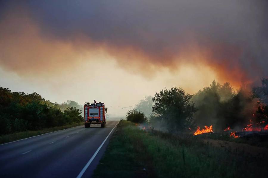 Информация о лесных пожарах будет поступать через  «Госуслуги»