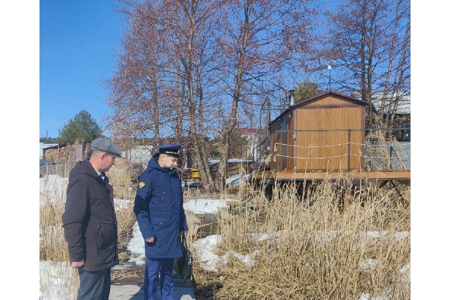 Алатырская межрайонная прокуратура выясняет причины массовой гибели рыбы в водоеме