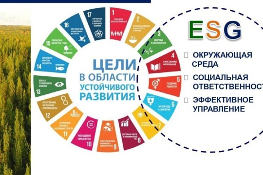 Автоматизация и повышение прозрачности в сфере государственных закупок - одно из направлений Концепции устойчивого развития Чувашской Республики