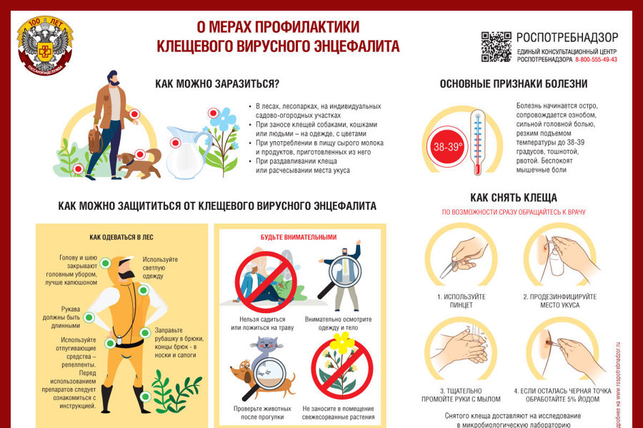 О мерах профилактики вирусного клещевого энцефалита