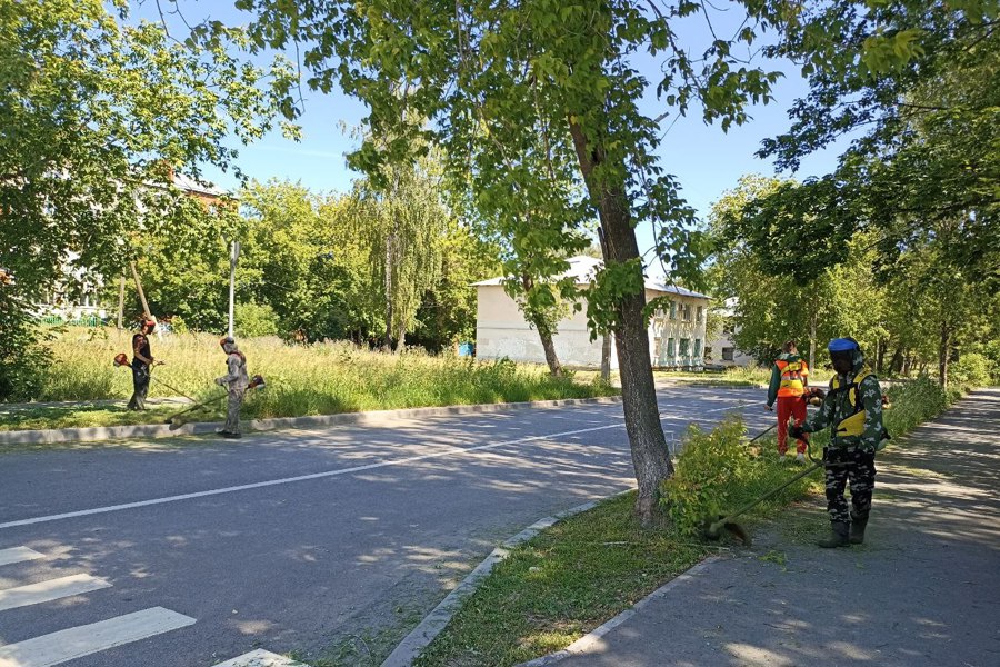 В городе Чебоксары продолжается покос травы