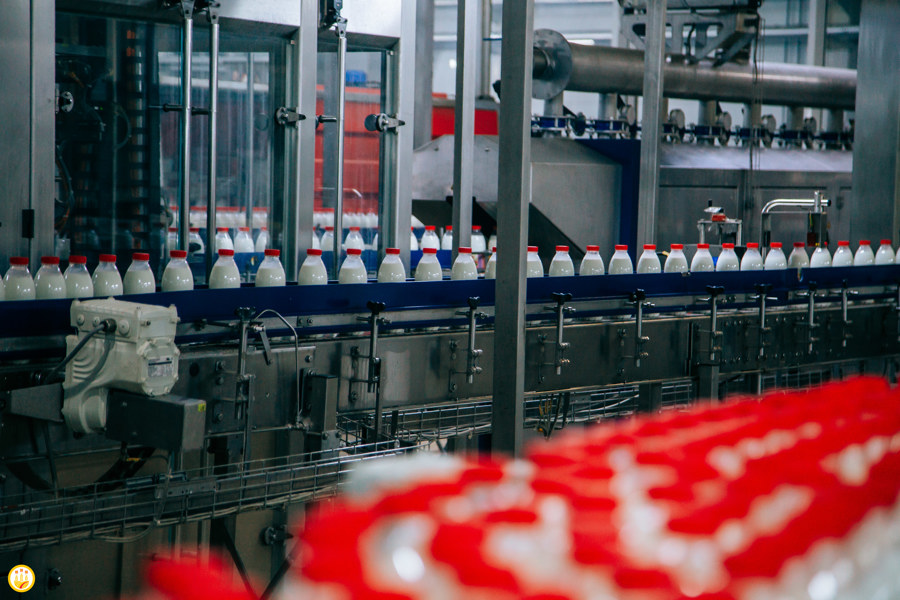 До 19 апреля Минсельхоз Чувашии принимает заявки на субсидии для переработчиков молока