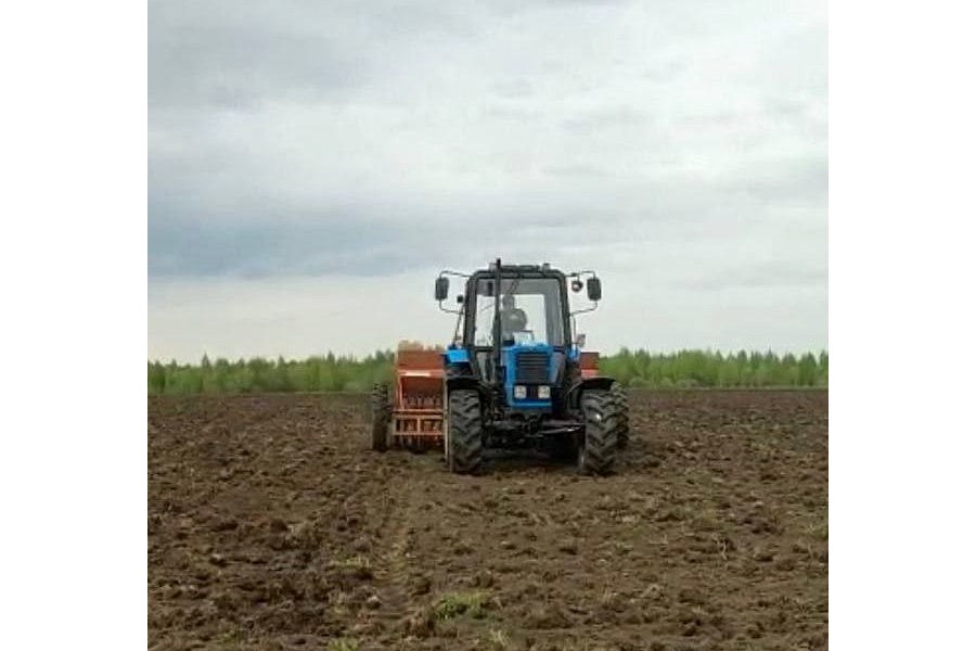 Фермер Алатырского муниципального округа Шумилов Андрей провел посевную компанию новым трактором