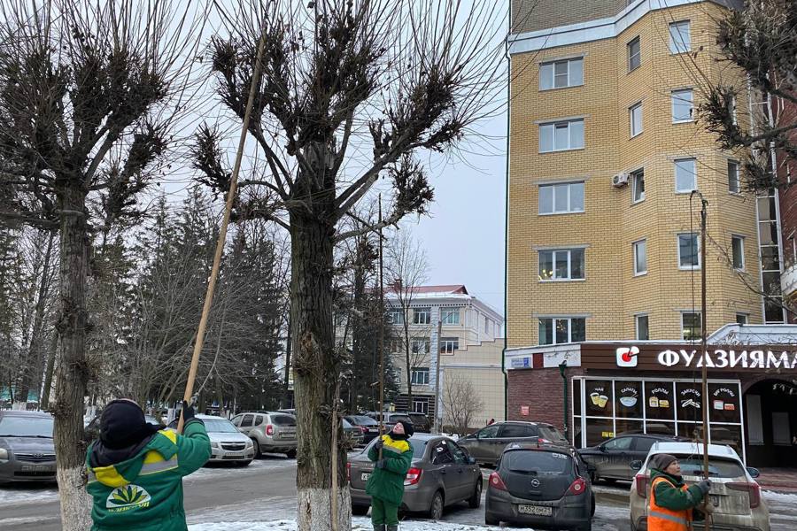 АО «Зеленстрой» продолжает посыпку парков и скверов противогололедными материалами