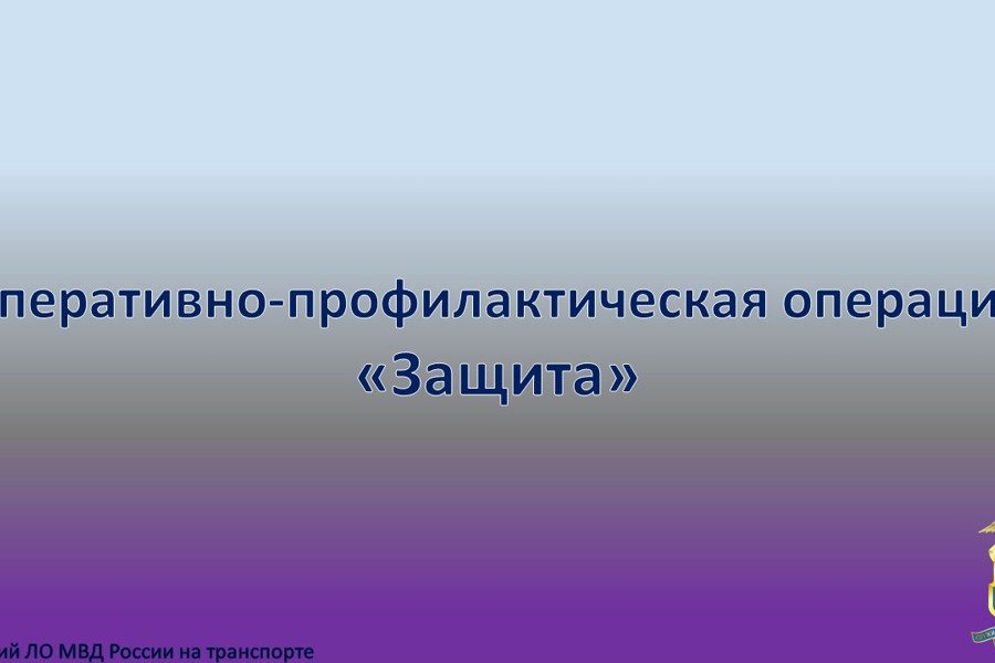 В Чувашском ЛО МВД России на транспорте проводится оперативно-профилактическое мероприятие «Защита»