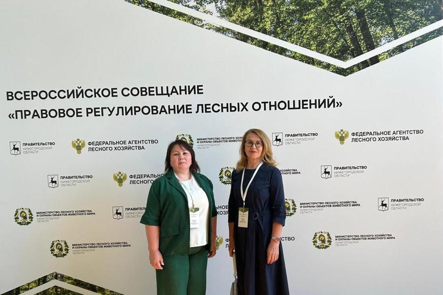 Делегация Минприроды Чувашии в Нижнем Новгороде принимает участие в совещании о правовом регулировании лесных отношений