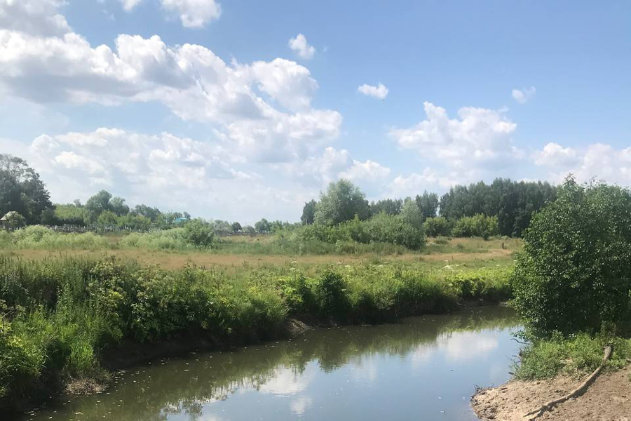 Река Кубня в Комсомольском муниципальном округе оказалась в неблагоприятном состоянии из-за неочищенных сточных вод, сливающихся в нее из очистных сооружений района.
