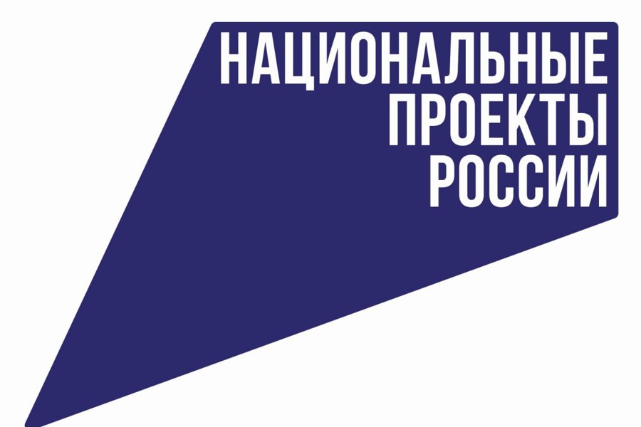 Объявленные Путиным новые нацпроекты начнут реализовываться с 2025 года