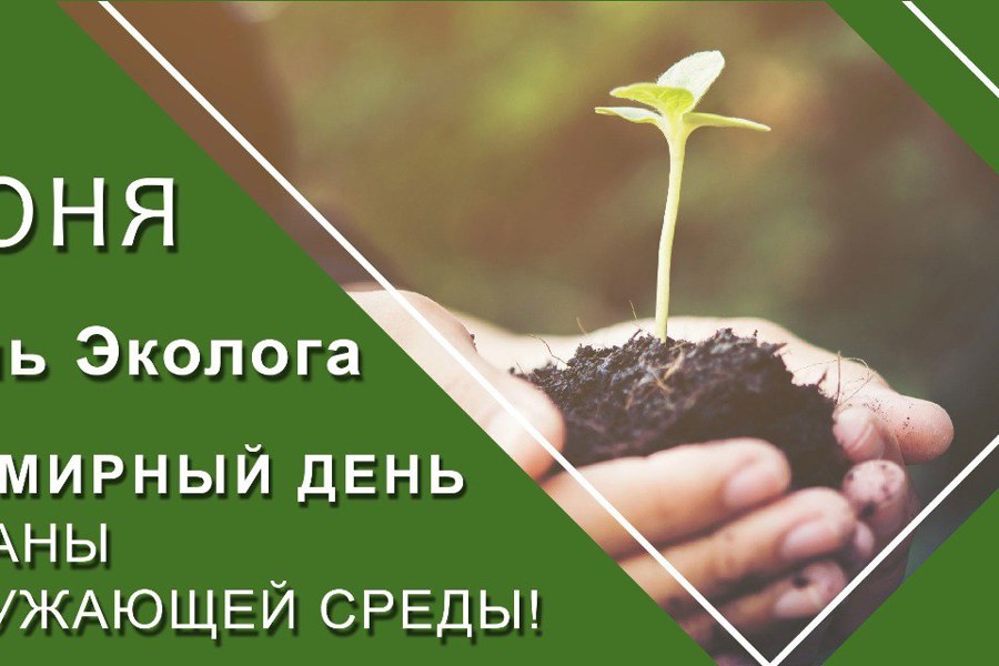 Сегодня отмечается Всемирный день охраны окружающей среды и Всероссийский День эколога
