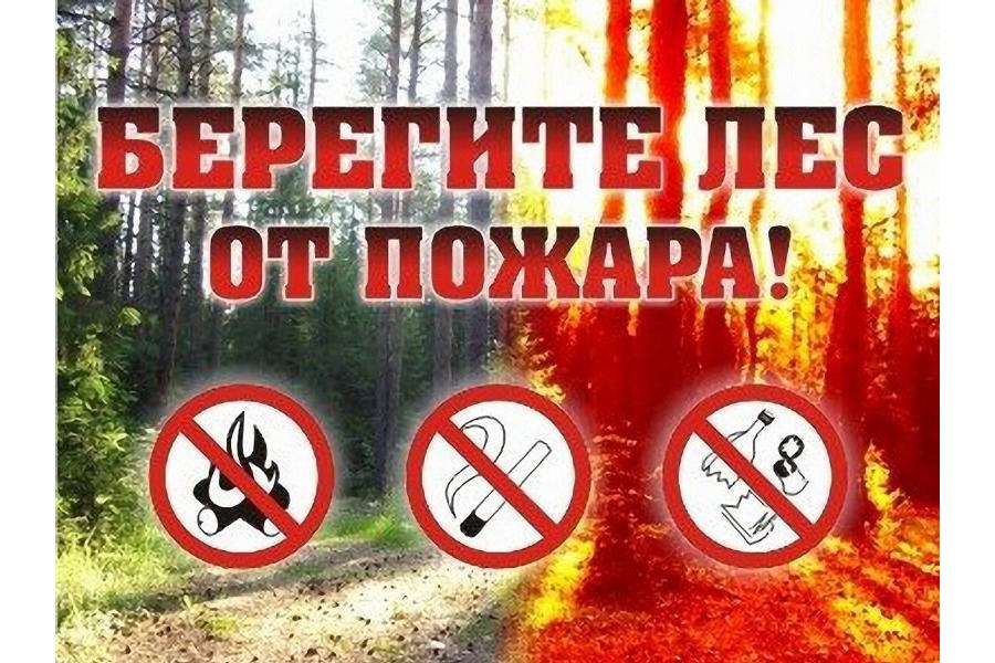 В Чувашии установлен III класс пожароопасности