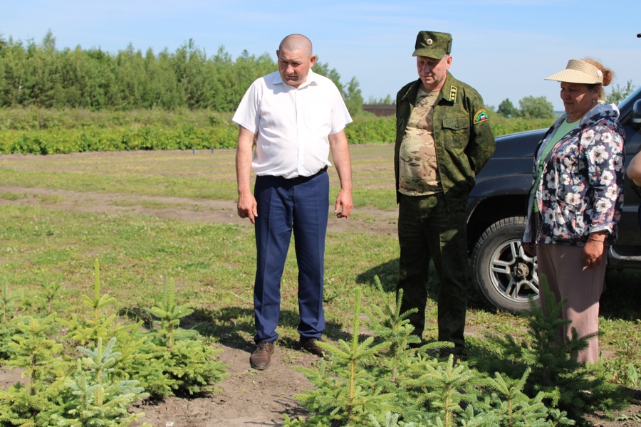 Эмир Бедертдинов посетил Шемуршинское лесничество Минприроды Чувашии