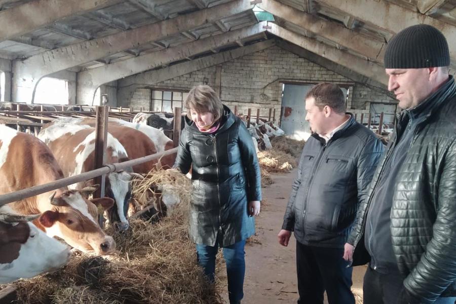 Заместитель главы по экономике, АПК и финансам Татьяна Галахова посетила фермерские хозяйства